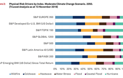 Understanding Climate Risk at the Asset Level: The Interplay of Transition and Physical Risks