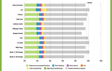 Financing a Net Zero Economy: The Consequences of Physical Climate Risk for Banks